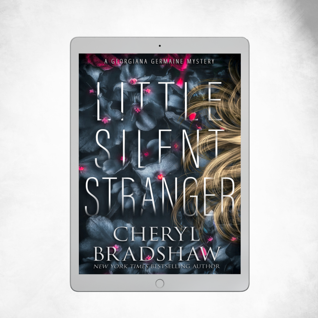 LITTLE SILENT STRANGER | GEORGIANA GERMAINE MYSTERIES #13 | EBOOK