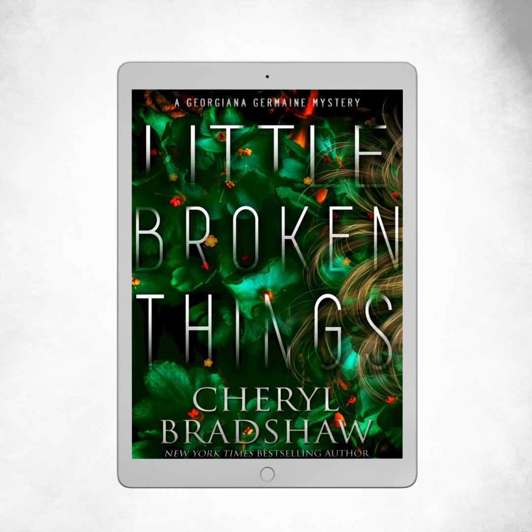 Little Broken Things | Georgiana Germaine Mysteries #3 | ebook
